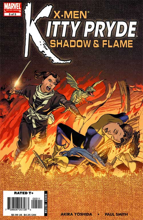 Shadow And Flame: Conclusion