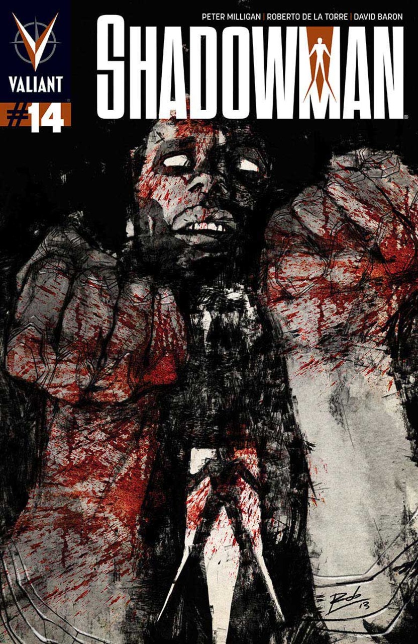 Shadowman #14