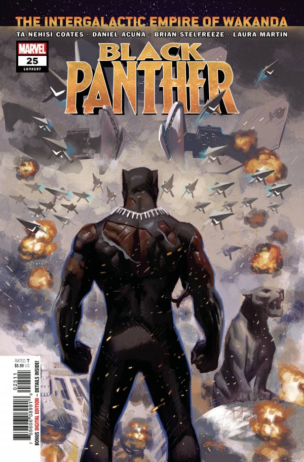 Book 4: Wakanda Unbound, Part 7 / Epilogue / Perspective