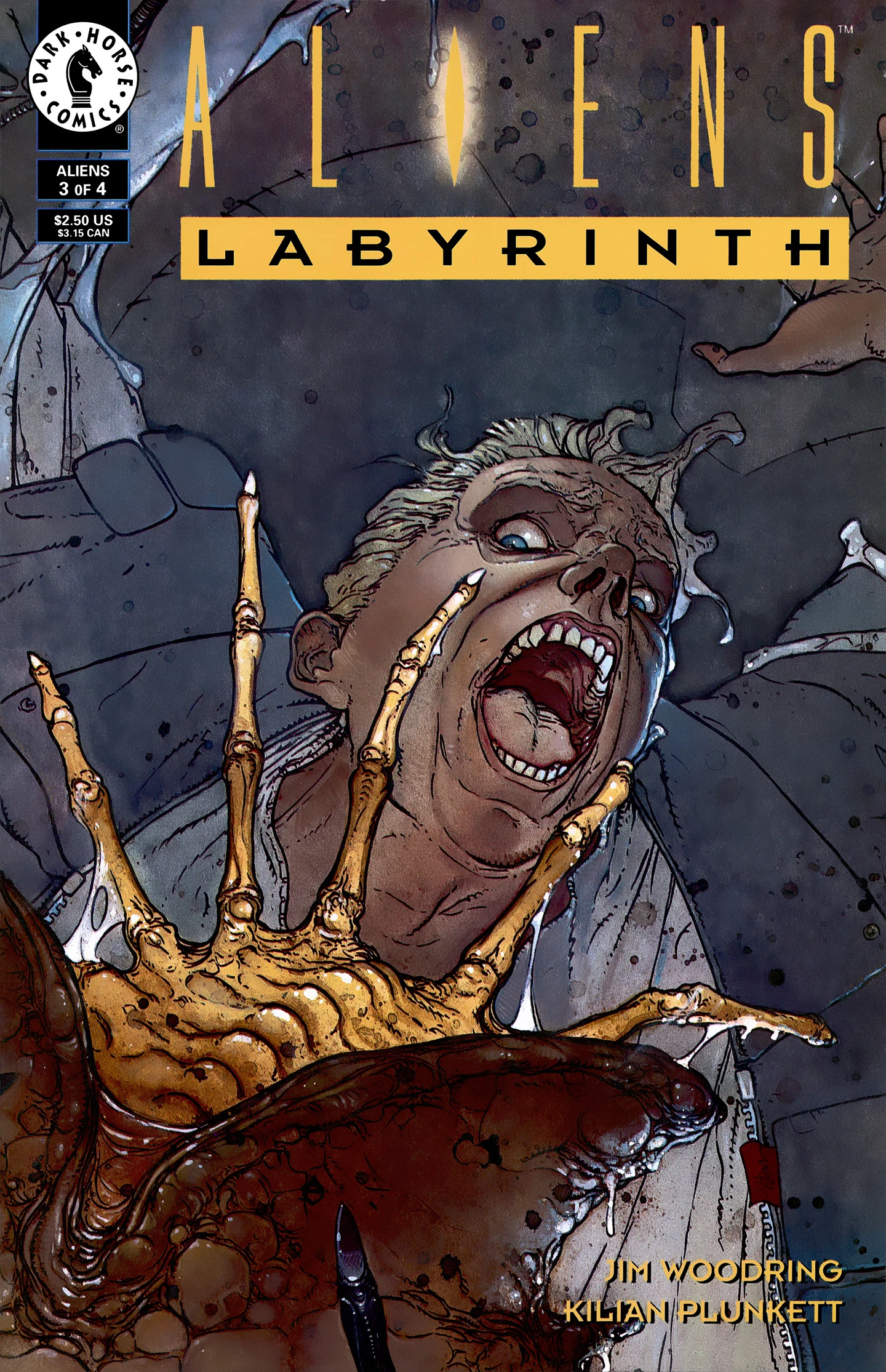 Labyrinth, Part 3
