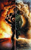 Punisher Nightmare (2013)