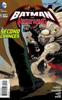 Nightwing : Acceptance