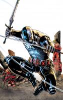 .2 Deathstroke