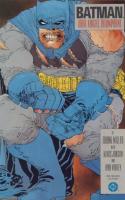 The Dark Knight Triumphant