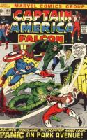 Panic On Park Avenue