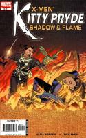 Shadow And Flame: Conclusion