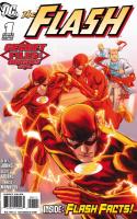 The Flash (2010)