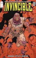 Invincible 38