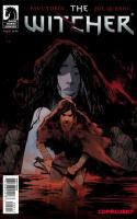 The Witcher #5