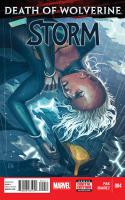 Storm #4