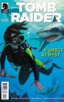 Tomb Raider #11