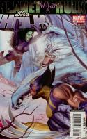 Planet Without A Hulk, Part 2 : Gamma Flight