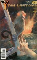 Y: The Last Man 35