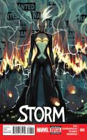 Storm #8