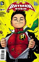 Fly Robin, Fly