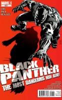 Black Panther: The Most Dangerous Man Alive (2012)