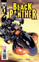 Who Is The Black Panther ?, Part 5