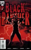 Who Is The Black Panther ?, Part 6