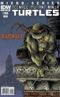 Teenage Mutant Ninja Turtles Micro-Series (2011)