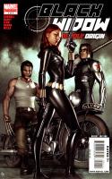 Black Widow: Deadly Origin (2010)