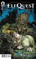 The Final Quest #14