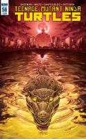 Teenage Mutant Ninja Turtles #56