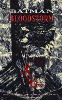 Batman: Bloodstorm