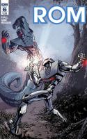 Rom #6