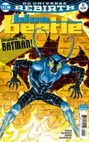 Two Beetles -- And A Bat!
