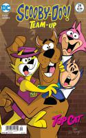 Reining Cats And Dogs