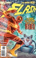The Flash #5