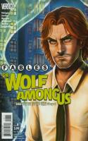 Fables: The Wolf Among Us #8