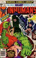 A Berserker Called Hulk