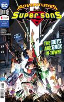 Adventures of the Super Sons (2018)