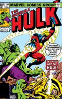 The Hero And The Hulk
