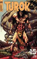 Turok (2019)