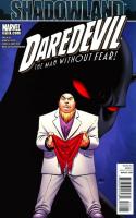 Shadowland, Part 3