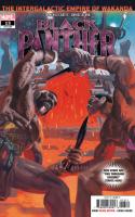 Black Panther #13