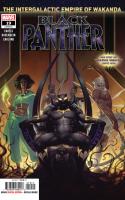 Black Panther #19