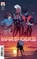 Windriders