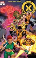The Secret X-men
