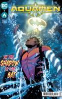 Shadow Of The Bat