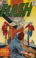 The Flash Of Two Worlds