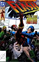 The Barry Allen Foundation
