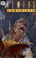Labyrinth, Part 3