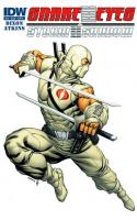 Snake Eyes And Storm Shadow (2012-2013)