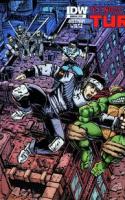 Teenage Mutant Ninja Turtles Annual 2012